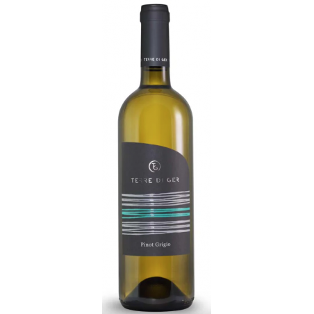 Pinot Grigio 2023